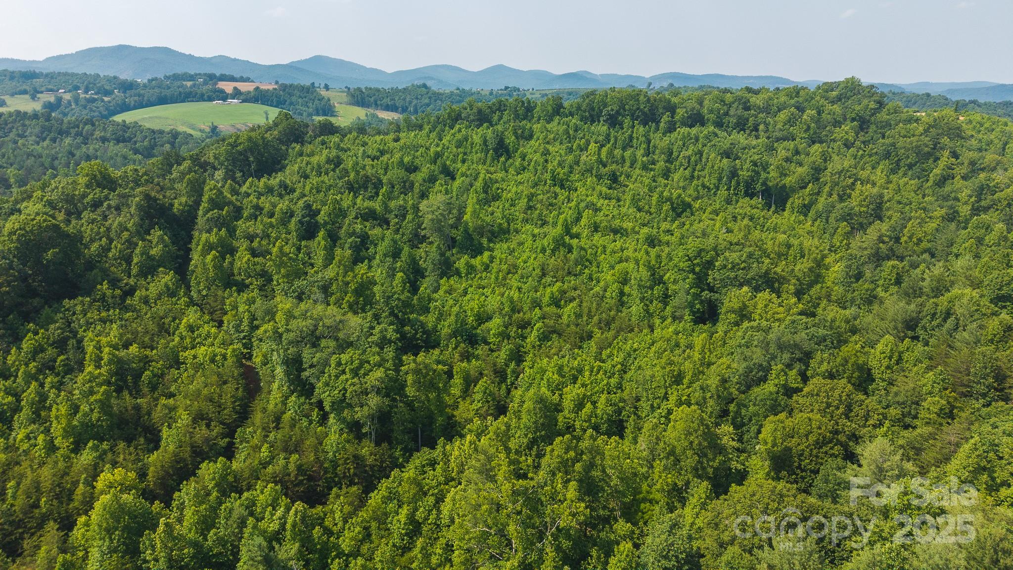 0 Old Vashti Road Taylorsville NC 28681