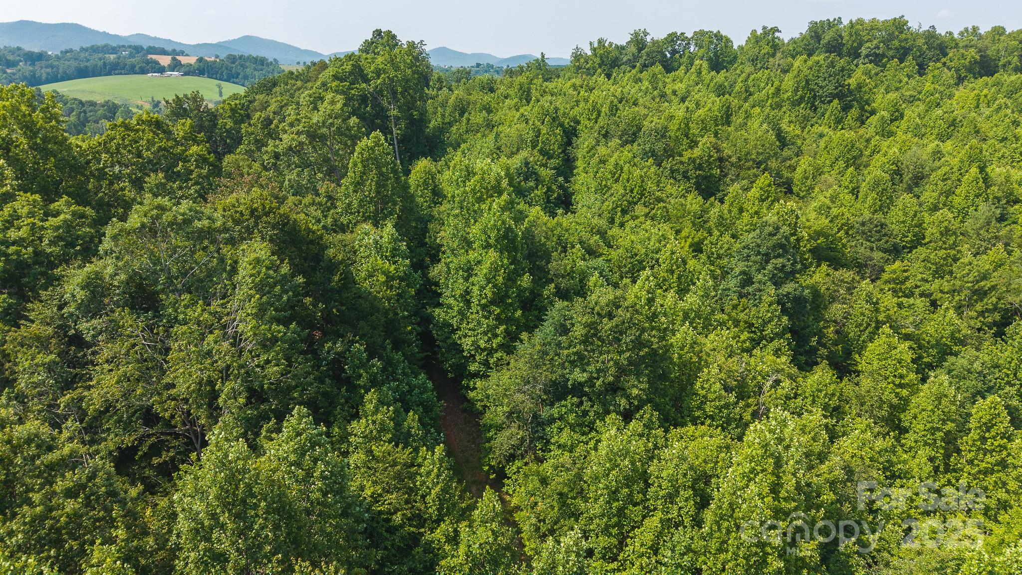 0 Old Vashti Road Taylorsville NC 28681