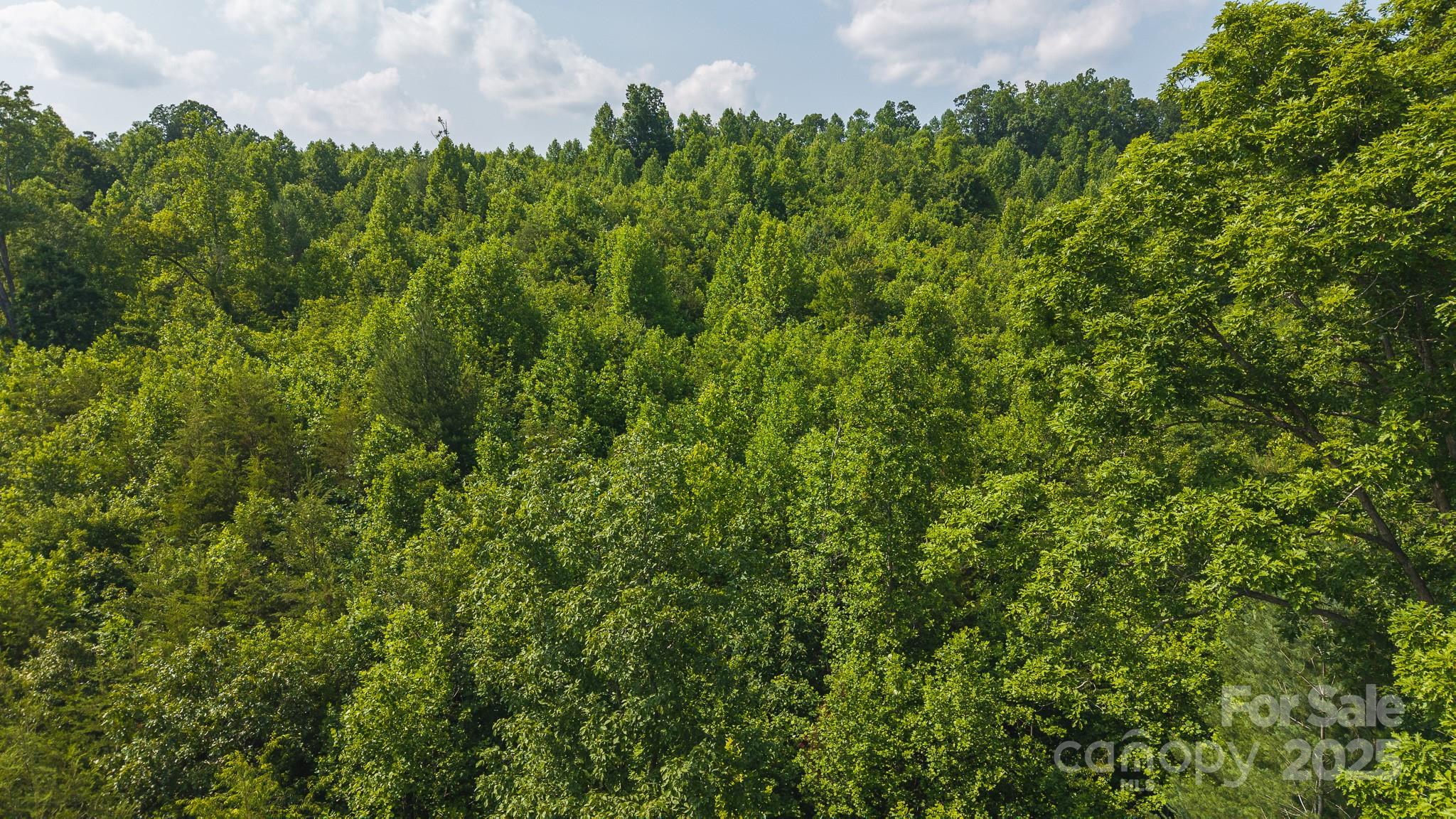0 Old Vashti Road Taylorsville NC 28681