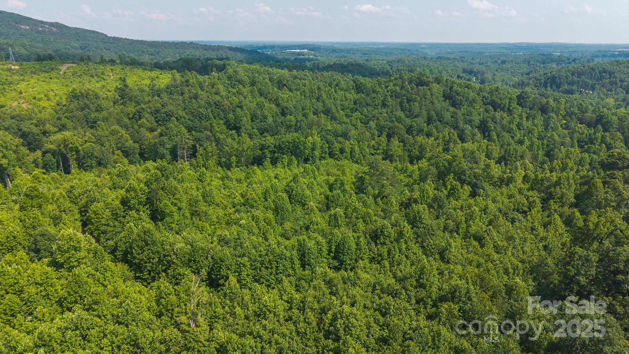 0 Old Vashti Road Taylorsville NC 28681