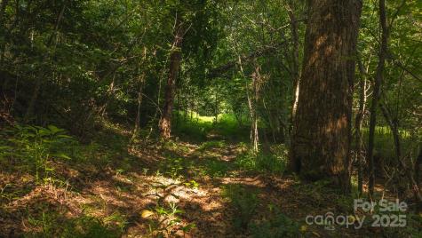 0 Old Vashti Road Taylorsville NC 28681