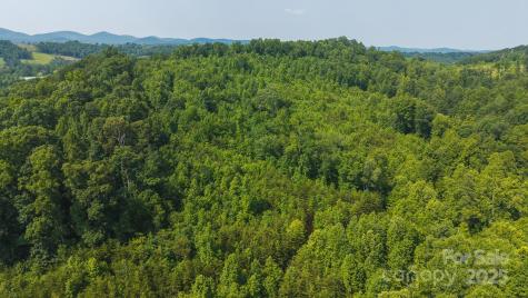 0 Old Vashti Road Taylorsville NC 28681