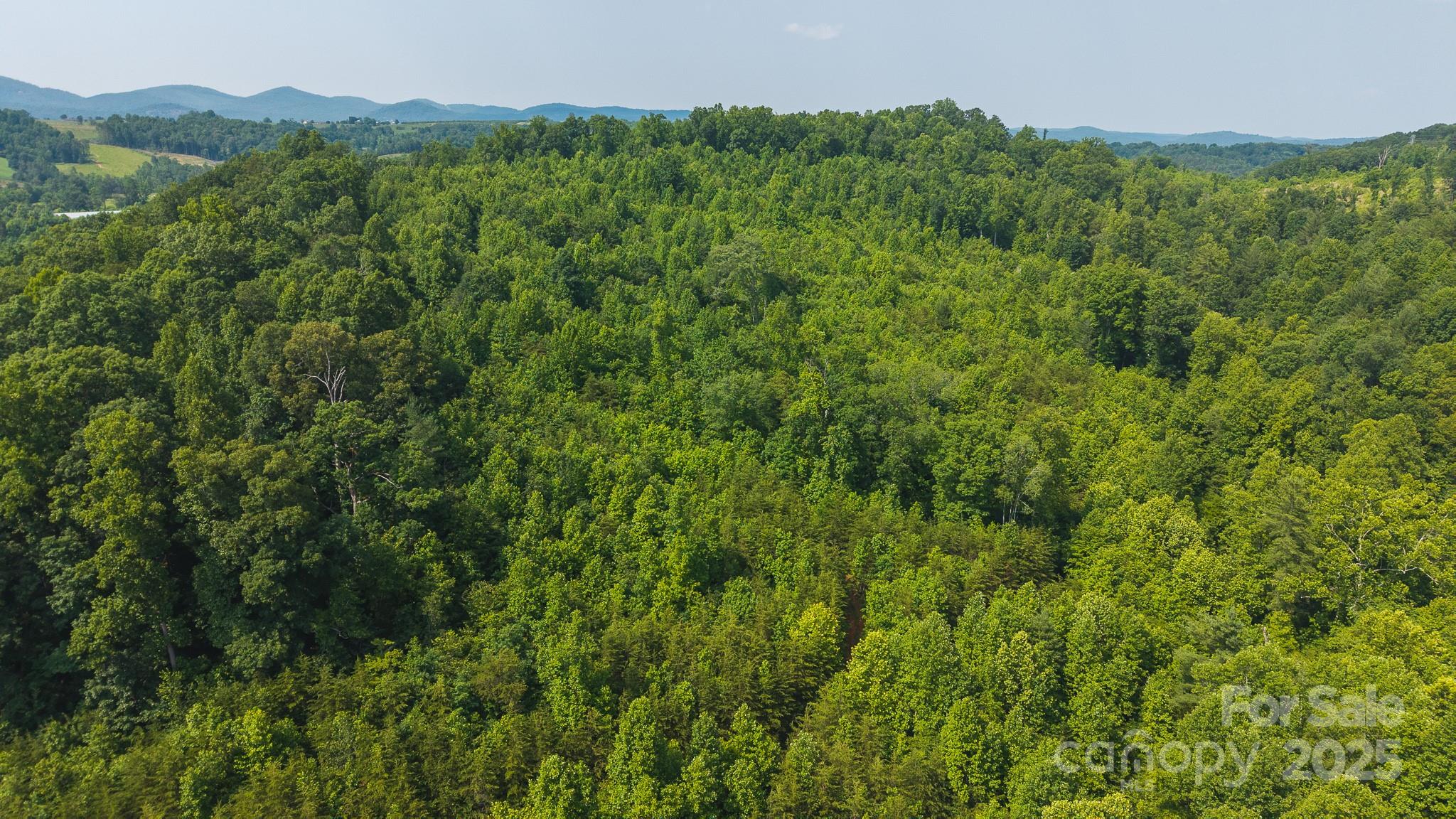 0 Old Vashti Road Taylorsville NC 28681