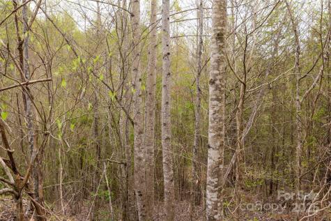 0 Old Vashti Road Taylorsville NC 28681