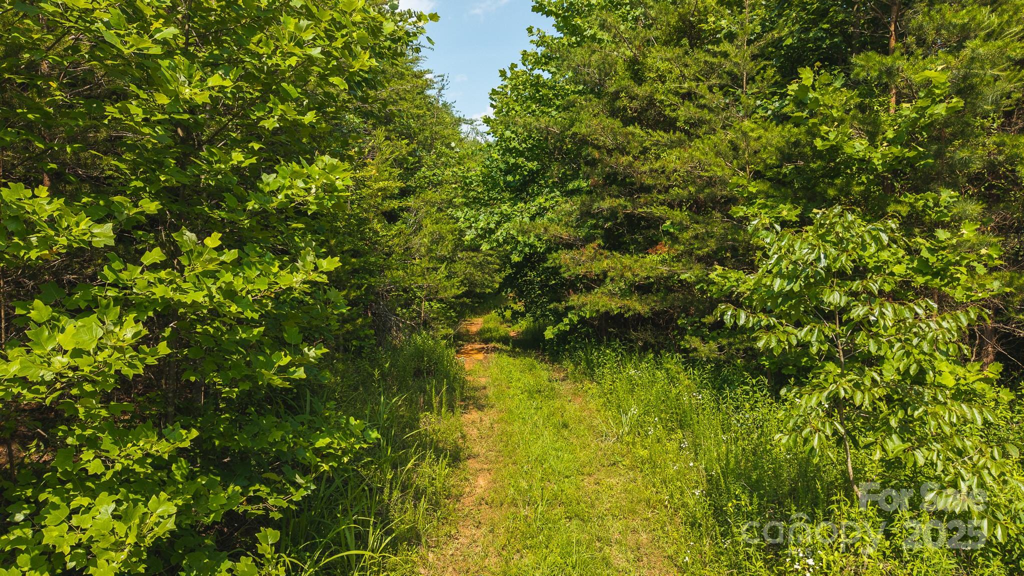0 Old Vashti Road Taylorsville NC 28681