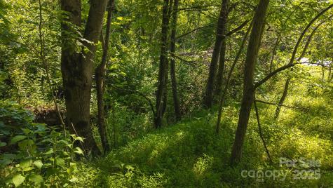 0 Old Vashti Road Taylorsville NC 28681