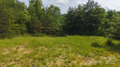 0 Old Vashti Road Taylorsville NC 28681