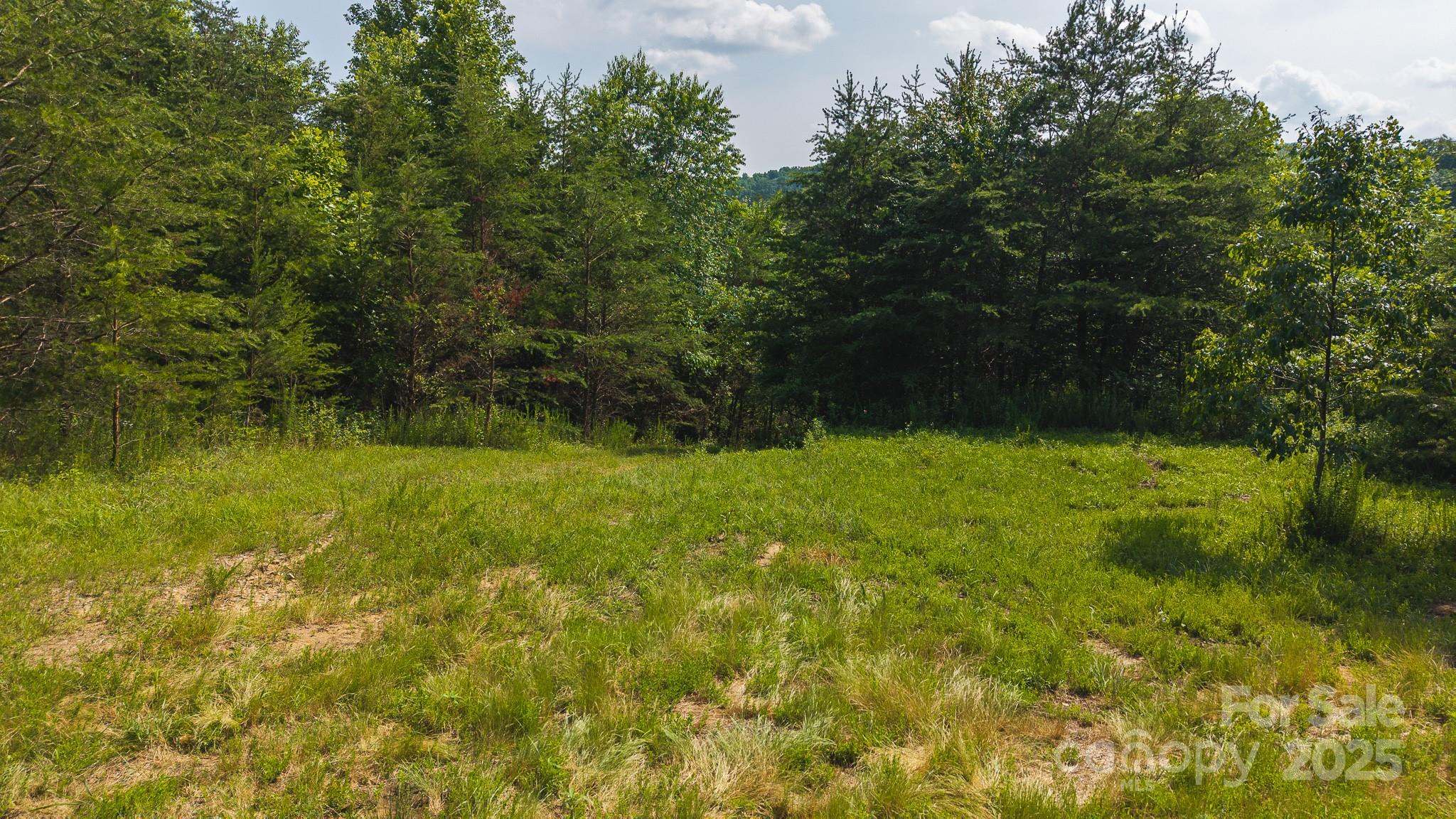 0 Old Vashti Road Taylorsville NC 28681