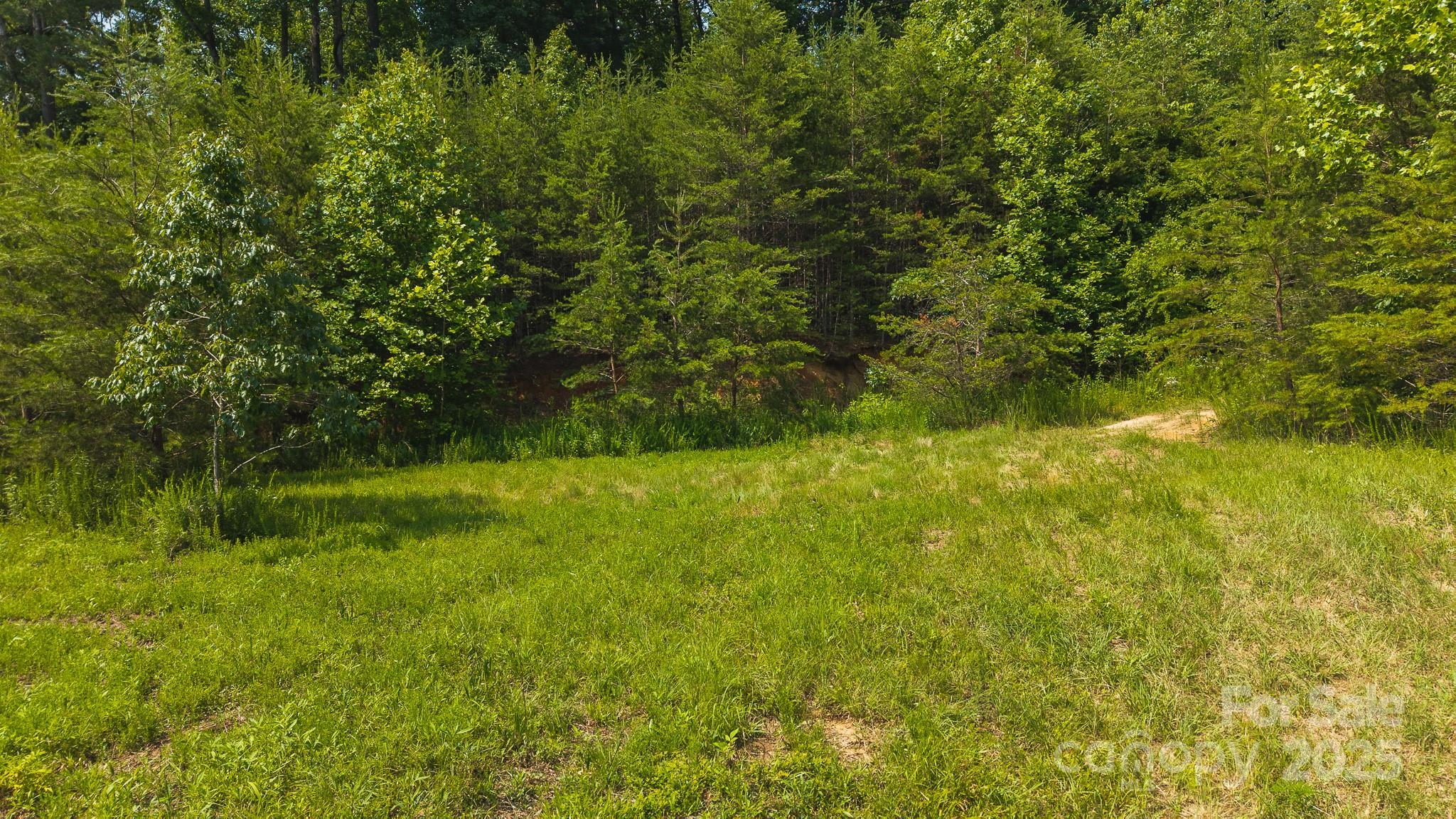0 Old Vashti Road Taylorsville NC 28681