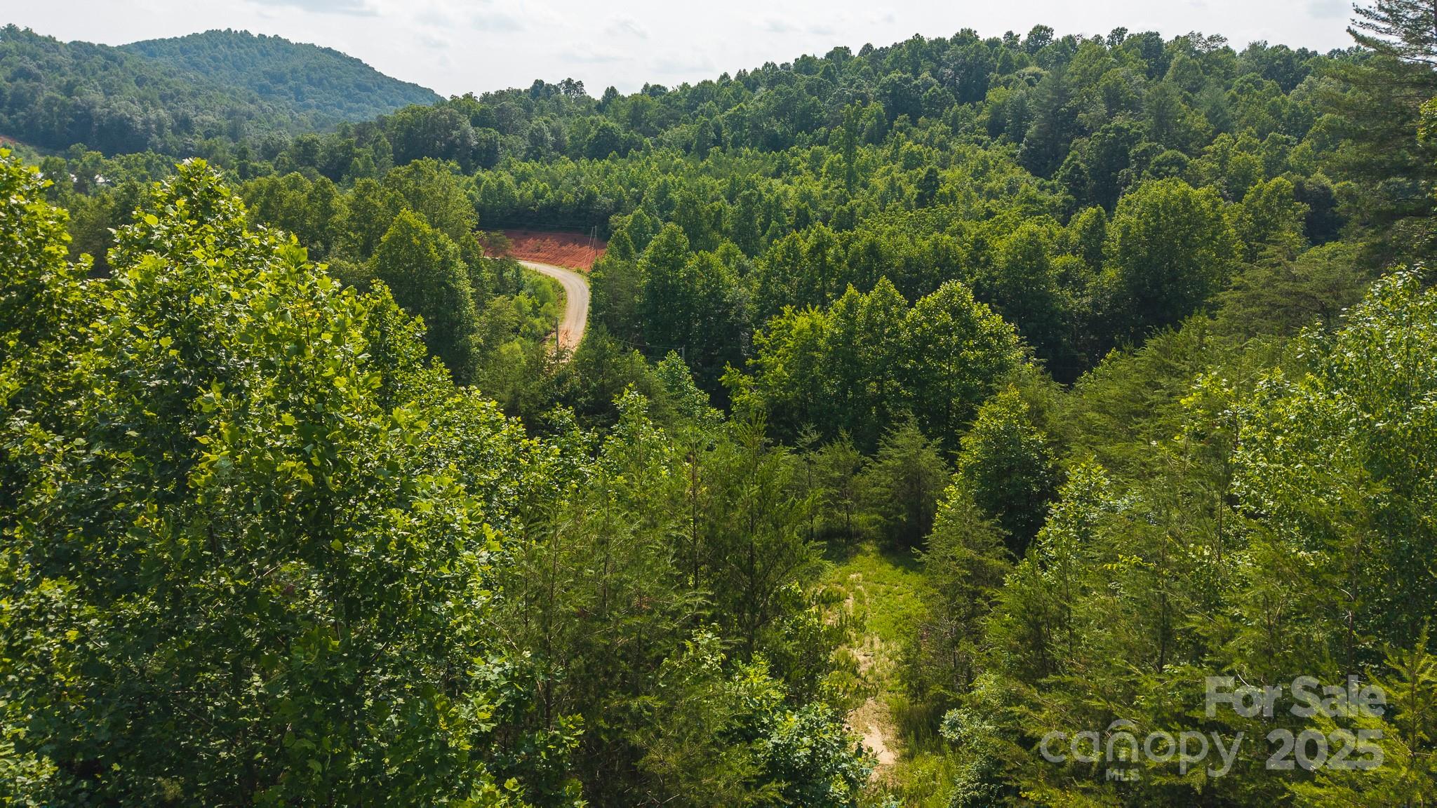 0 Old Vashti Road Taylorsville NC 28681