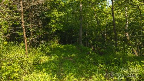 0 Old Vashti Road Taylorsville NC 28681