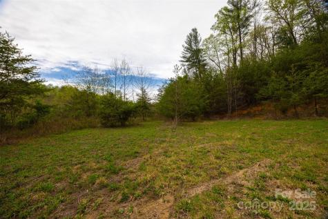 0 Old Vashti Road Taylorsville NC 28681