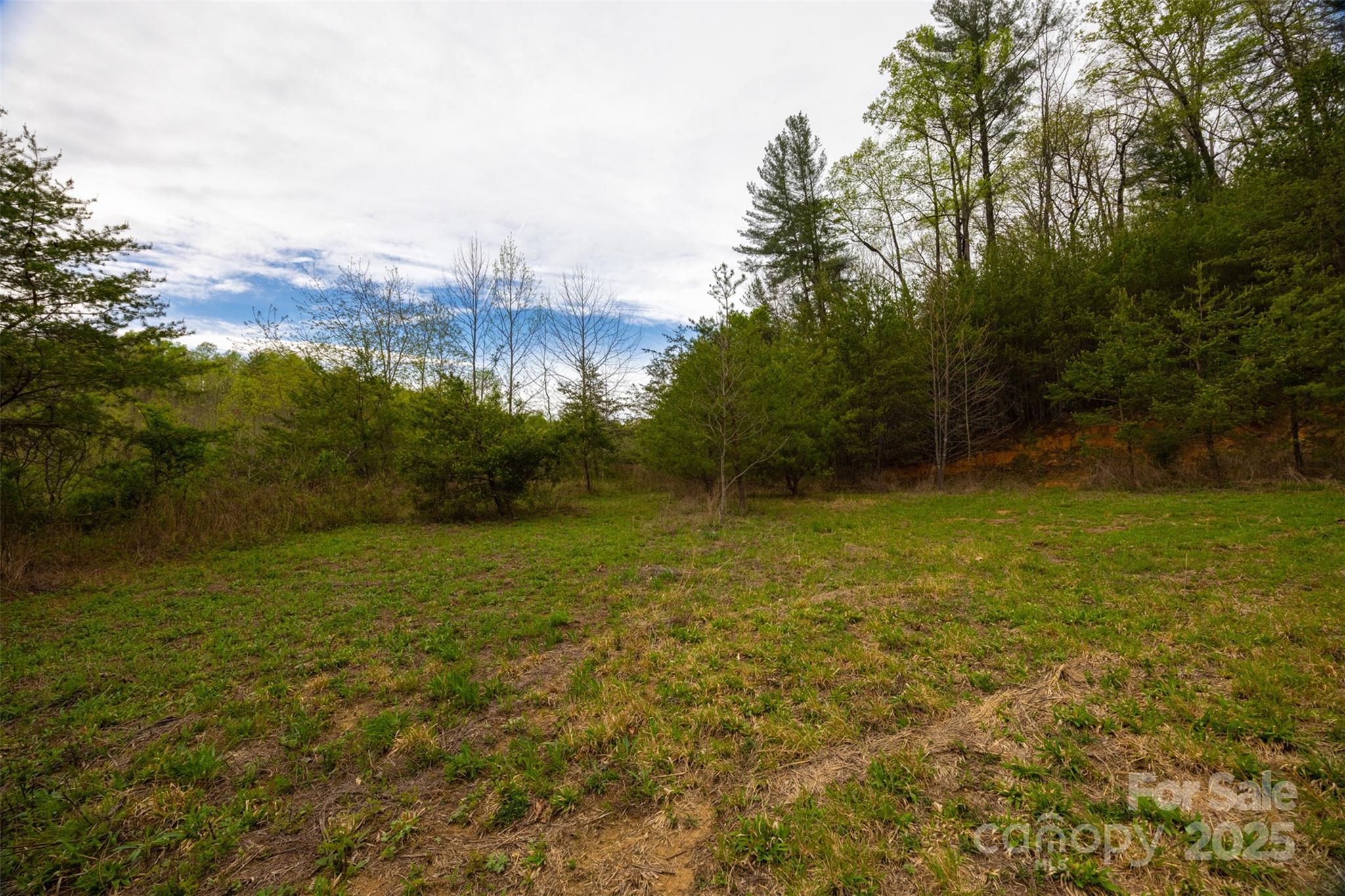 0 Old Vashti Road Taylorsville NC 28681
