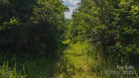 0 Old Vashti Road Taylorsville NC 28681