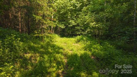 0 Old Vashti Road Taylorsville NC 28681