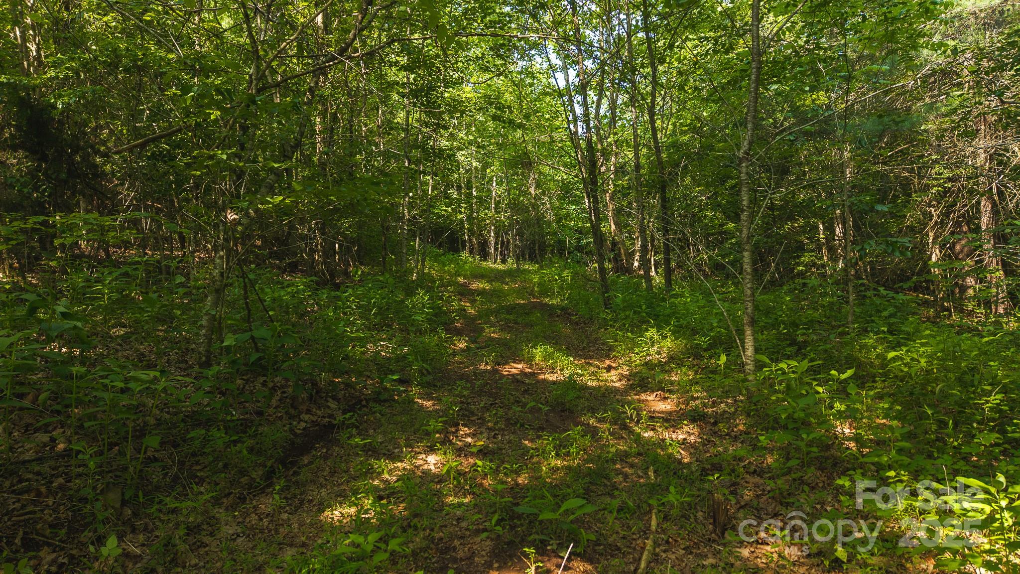 0 Old Vashti Road Taylorsville NC 28681