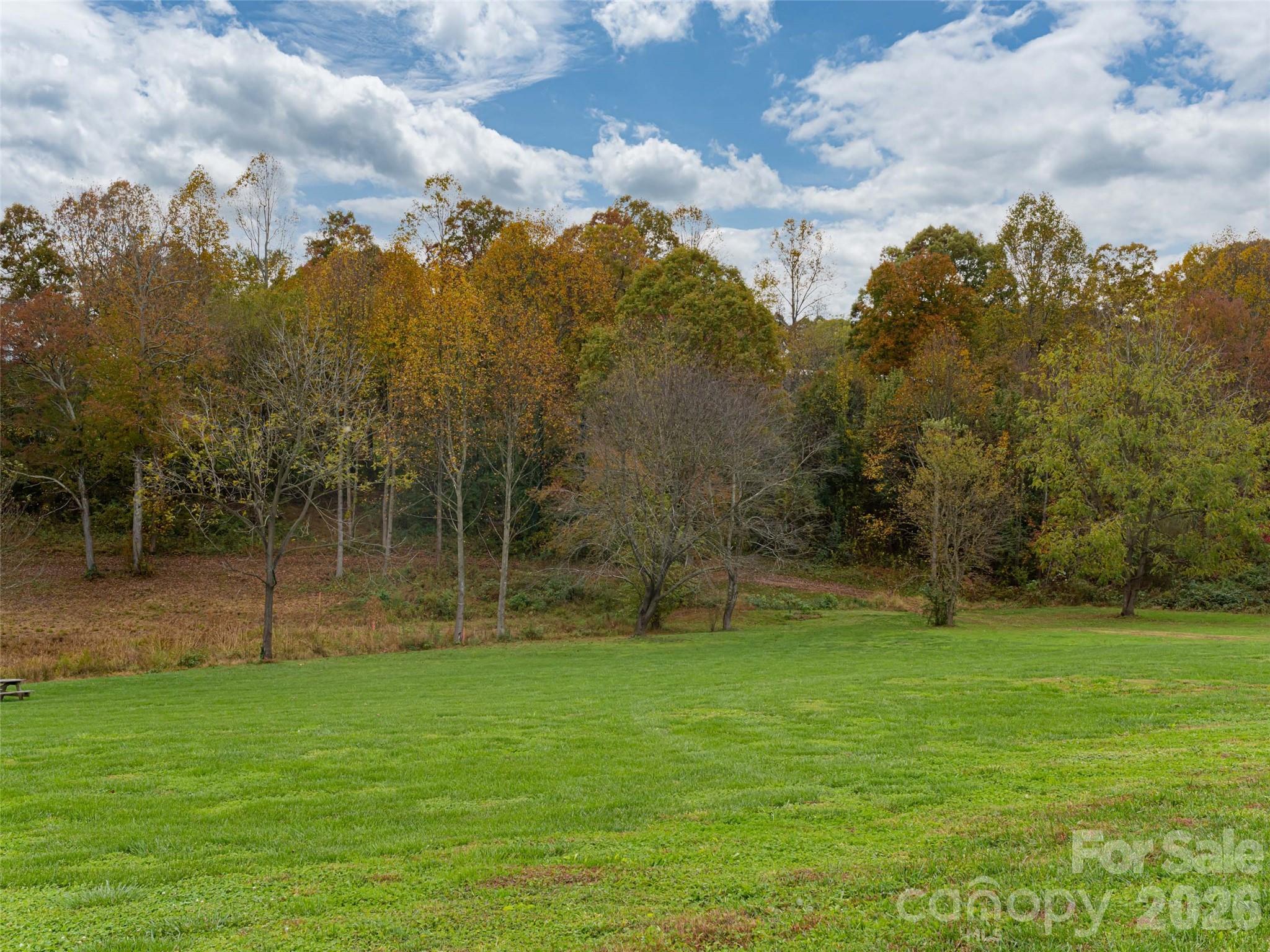 47 N Sweetwater Pond Road Mills River NC 28759