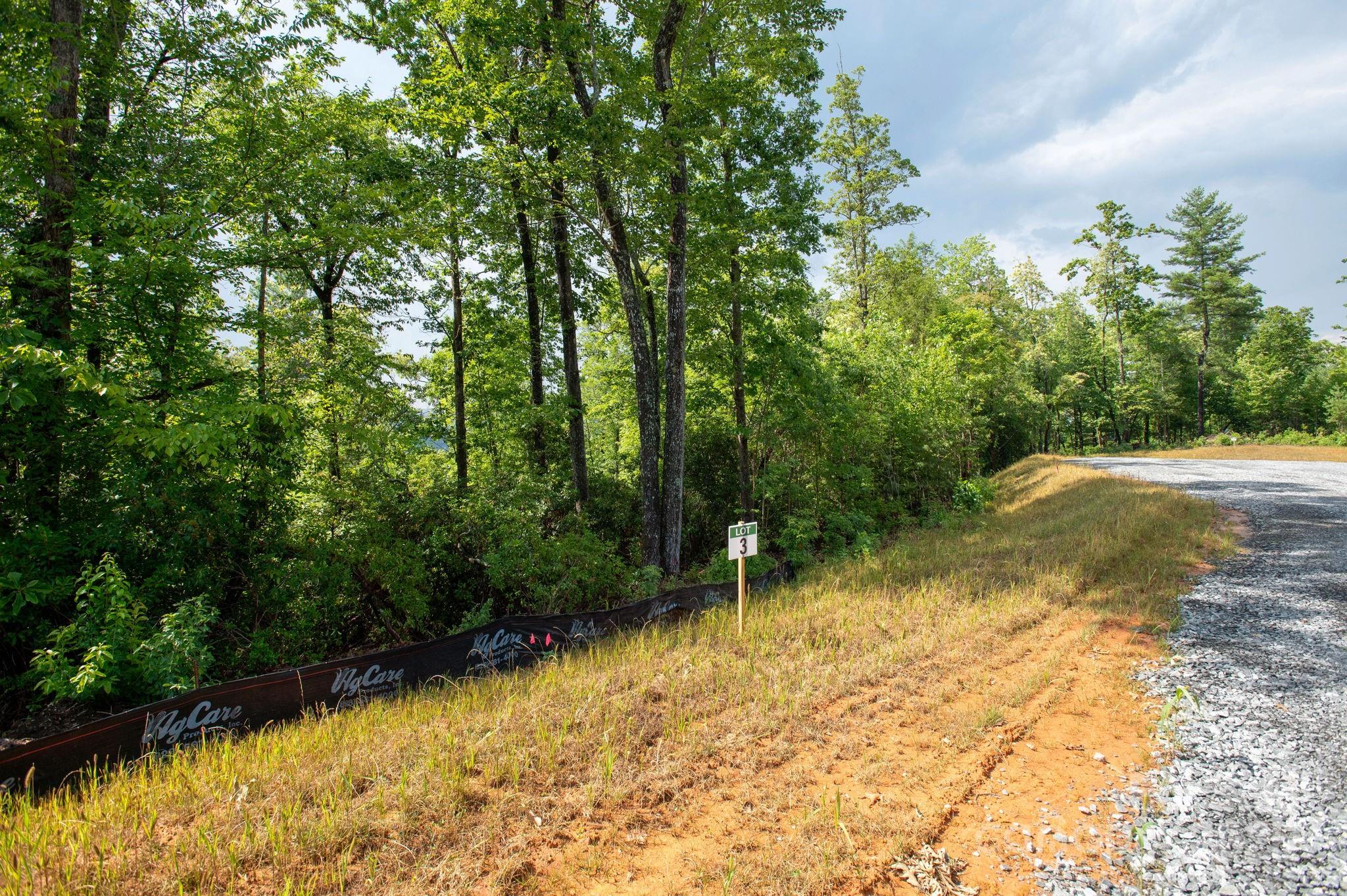 Lot # 3 Masterpiece View Drive Hendersonville NC 28739