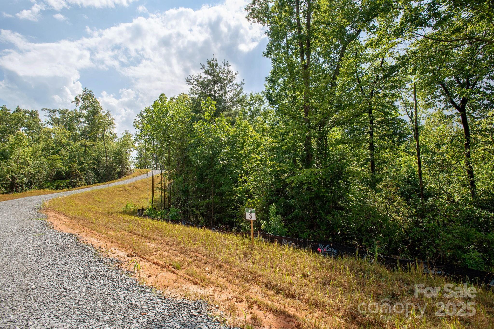 Lot # 3 Masterpiece View Drive Hendersonville NC 28739