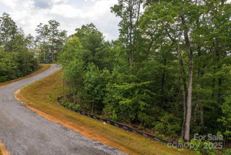 Lot # 3 Masterpiece View Drive Hendersonville NC 28739