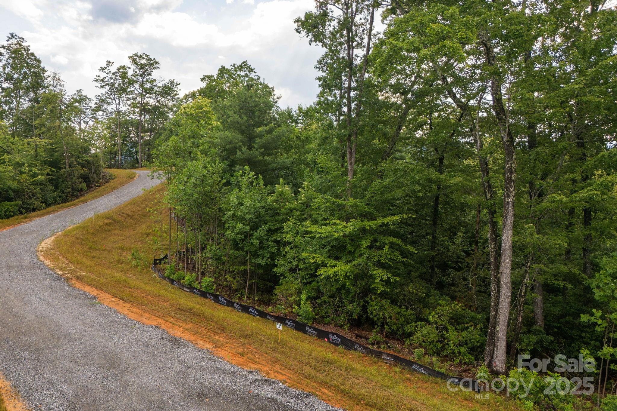 Lot # 3 Masterpiece View Drive Hendersonville NC 28739