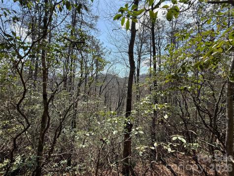 00 Line Runner Ridge Road Rosman NC 28722