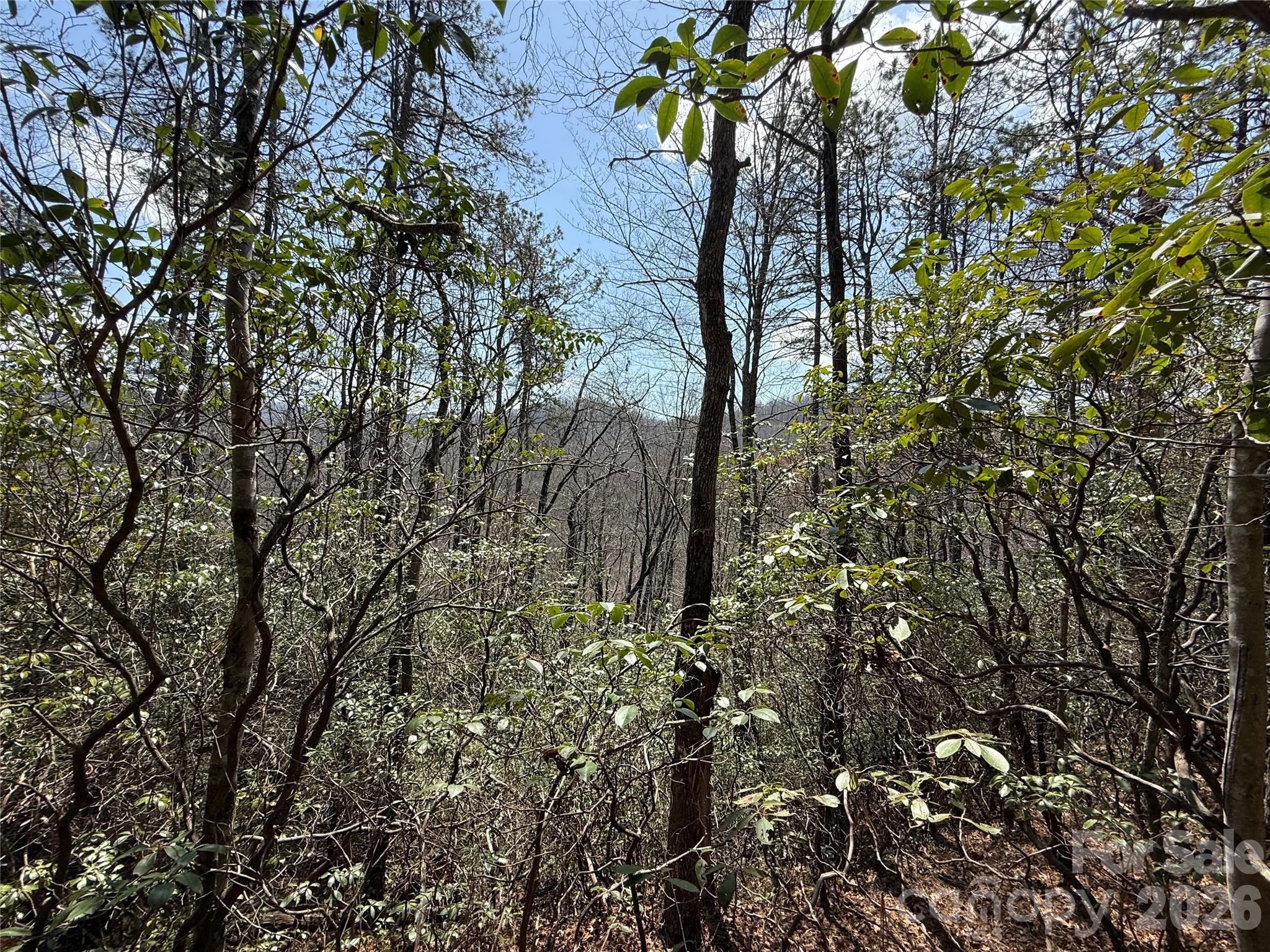 00 Line Runner Ridge Road Rosman NC 28722