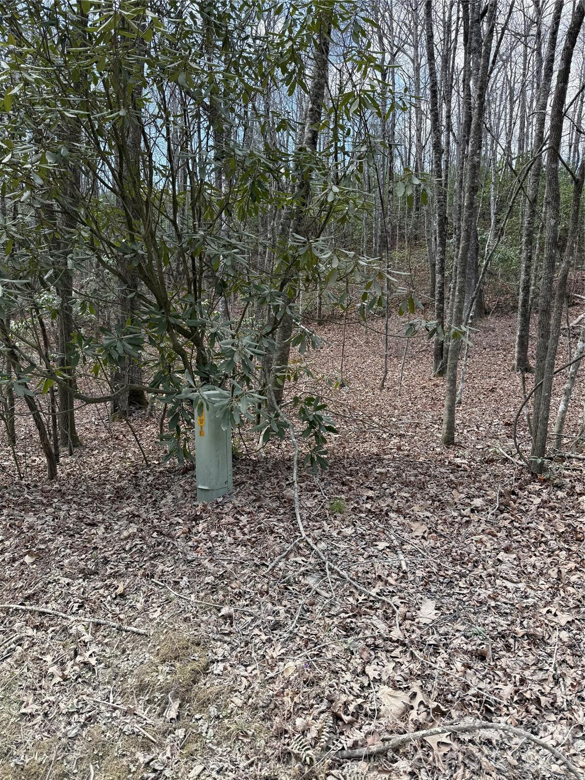 00 Line Runner Ridge Road Rosman NC 28722