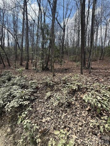 00 Line Runner Ridge Road Rosman NC 28722