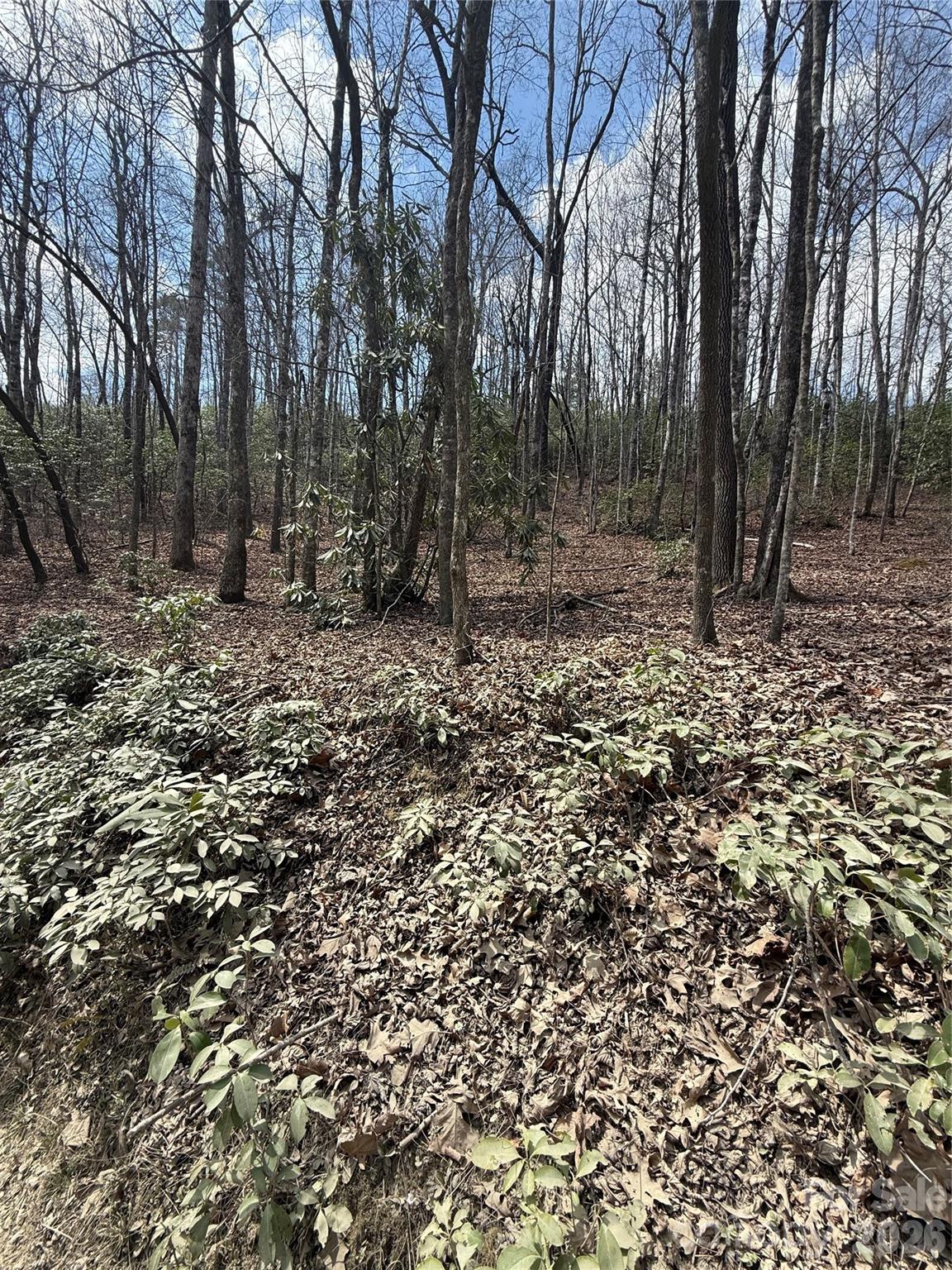 00 Line Runner Ridge Road Rosman NC 28722