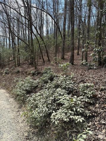 00 Line Runner Ridge Road Rosman NC 28722