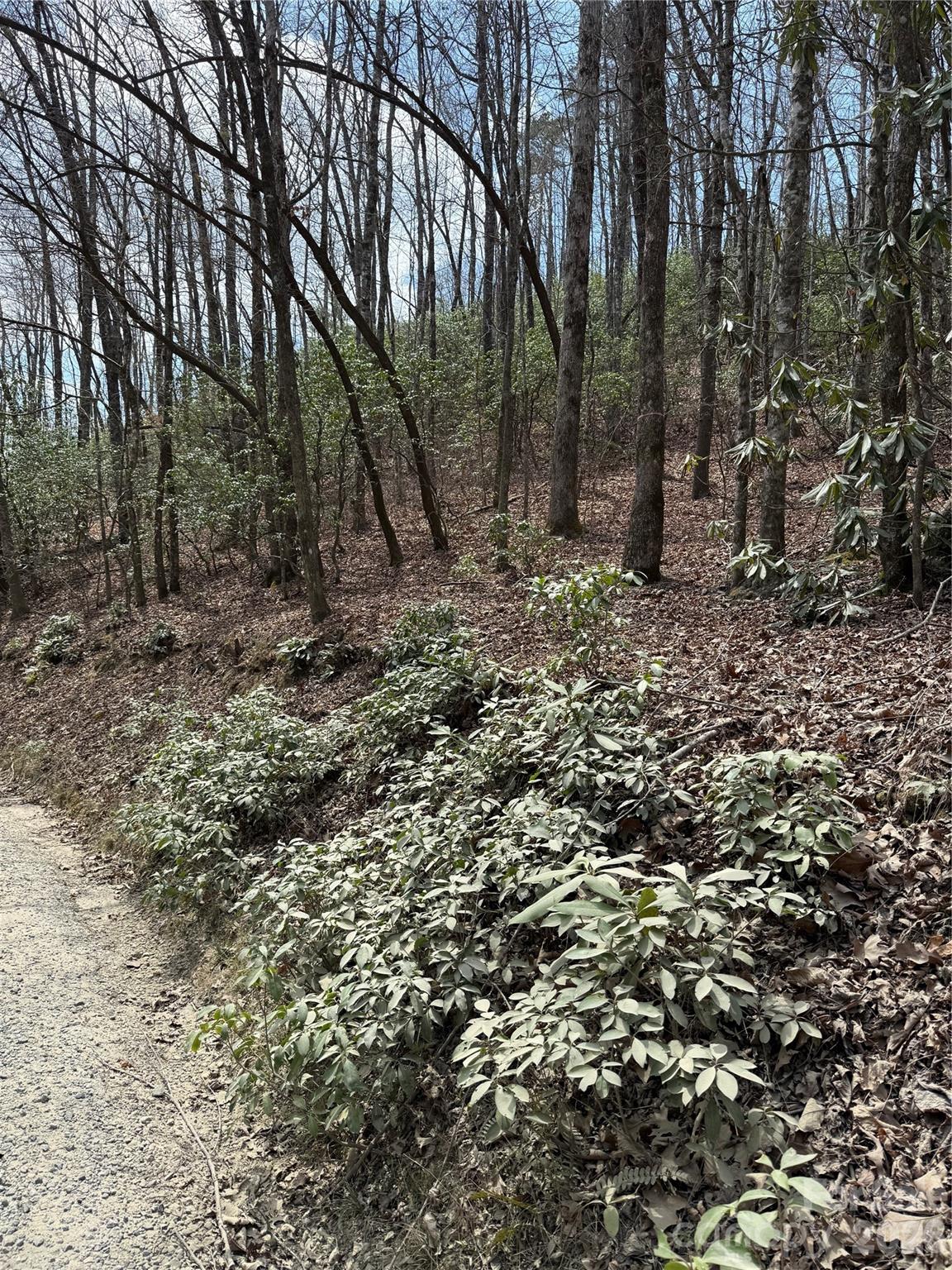 00 Line Runner Ridge Road Rosman NC 28722