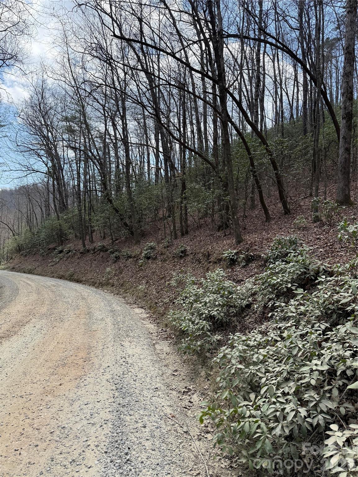 00 Line Runner Ridge Road Rosman NC 28722