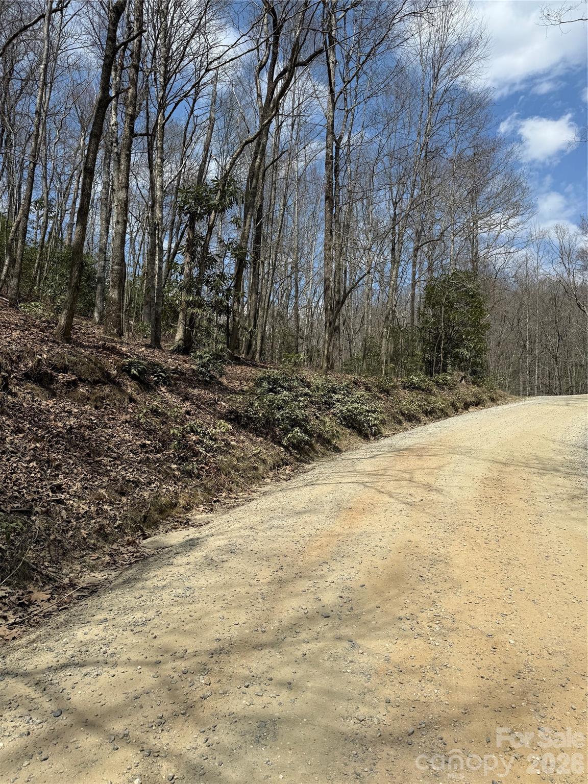 00 Line Runner Ridge Road Rosman NC 28722