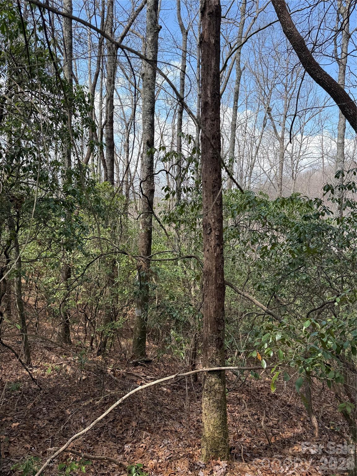 00 Line Runner Ridge Road Rosman NC 28722