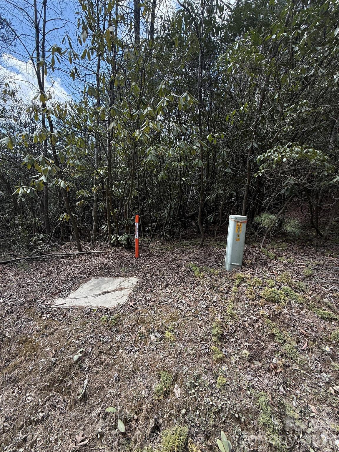 00 Line Runner Ridge Road Rosman NC 28722