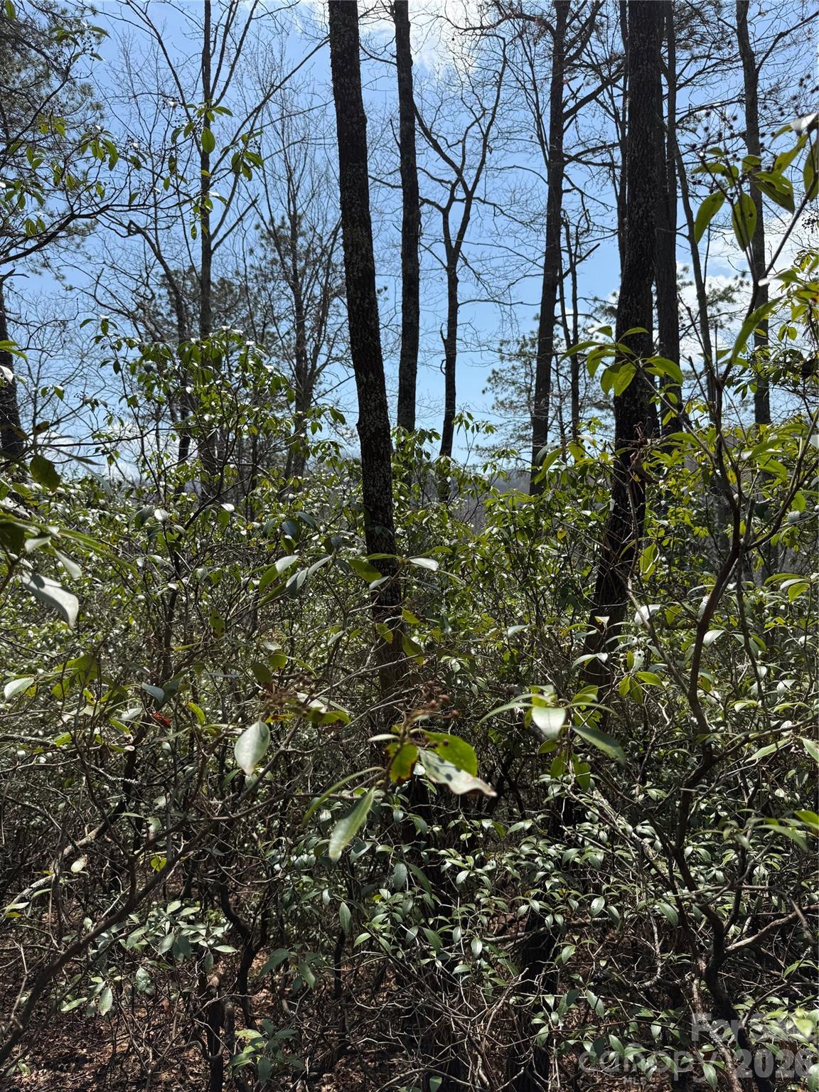 00 Line Runner Ridge Road Rosman NC 28722