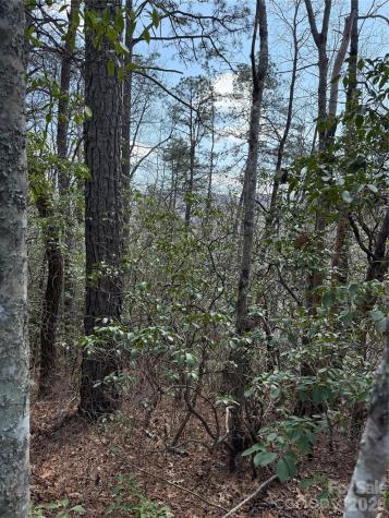 00 Line Runner Ridge Road Rosman NC 28722