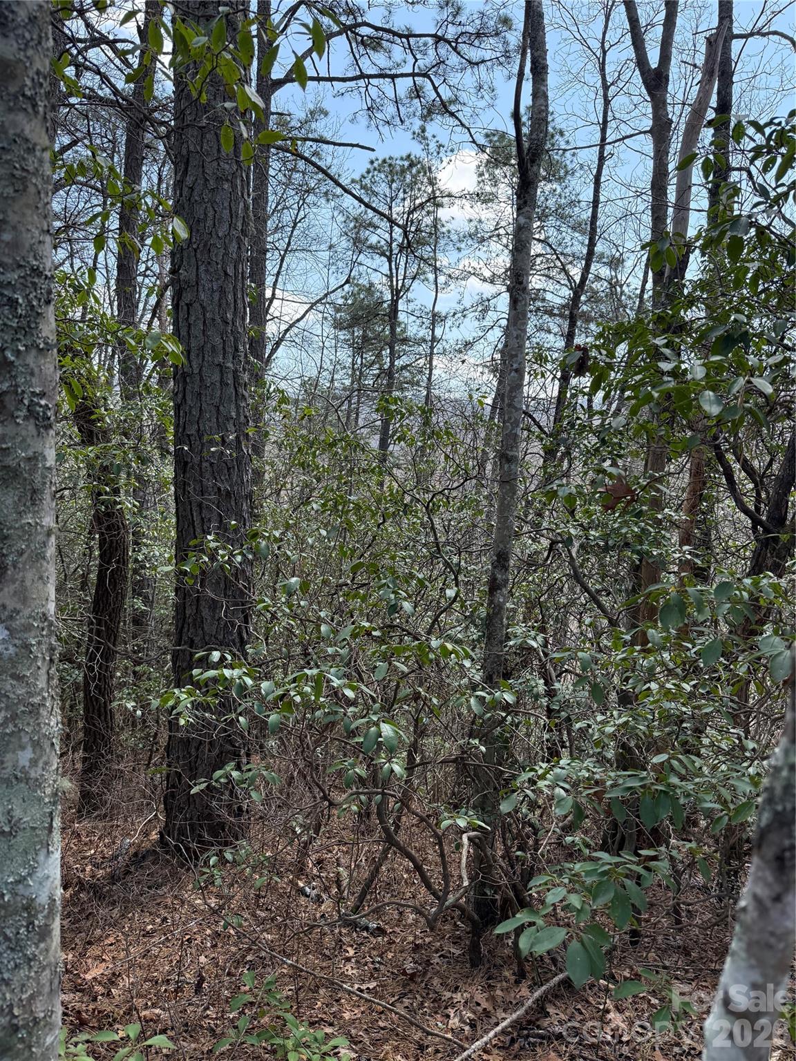 00 Line Runner Ridge Road Rosman NC 28722