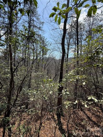 00 Line Runner Ridge Road Rosman NC 28722