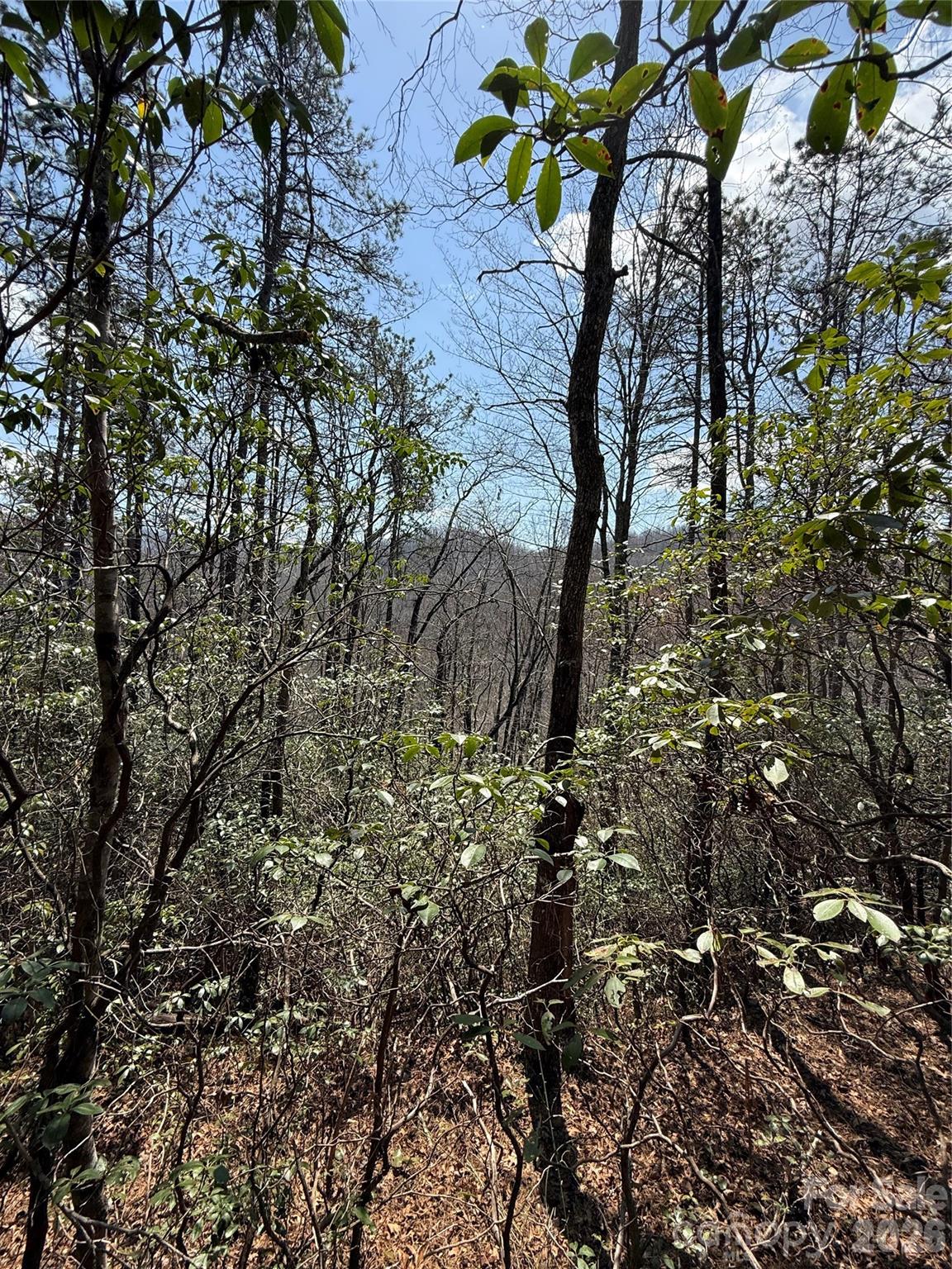 00 Line Runner Ridge Road Rosman NC 28722