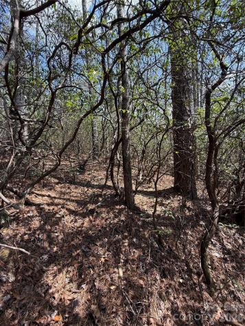 00 Line Runner Ridge Road Rosman NC 28722