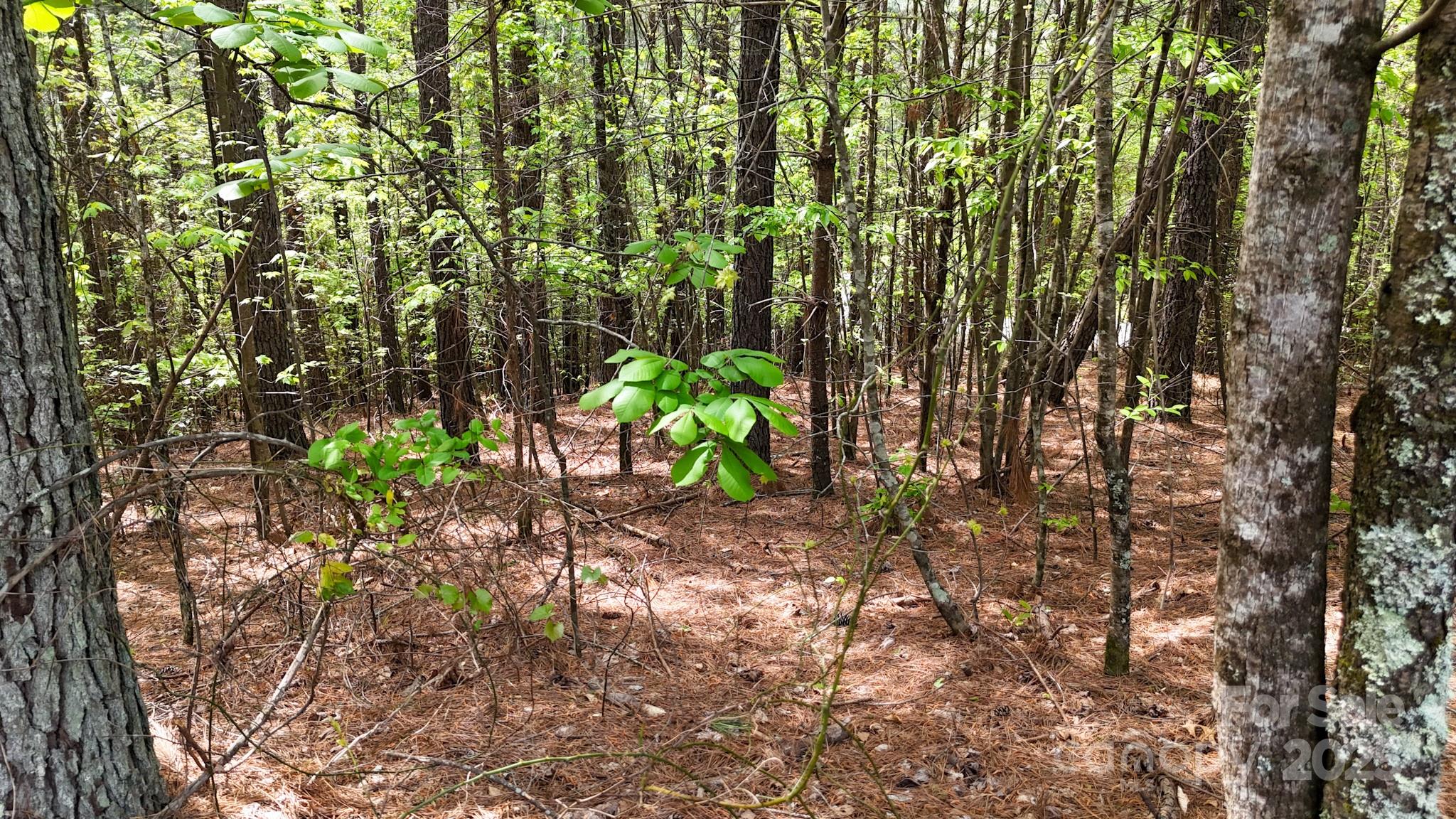 103 W Shortoff Trail NW Valdese NC 28690
