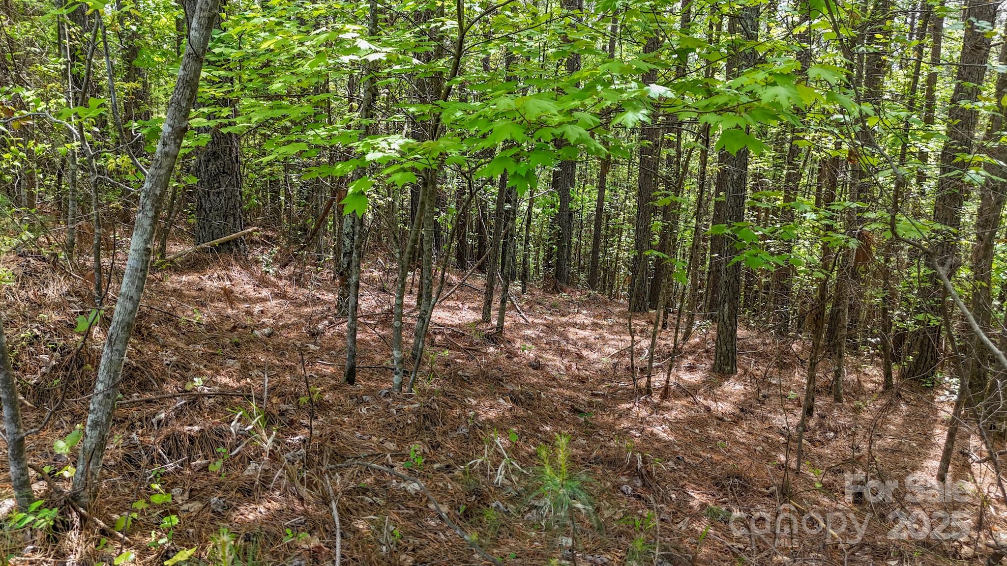 103 W Shortoff Trail NW Valdese NC 28690