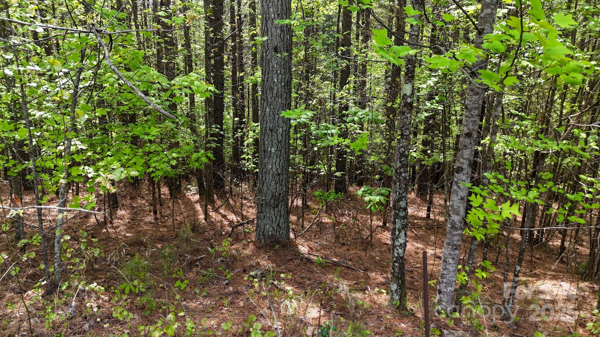 103 W Shortoff Trail NW Valdese NC 28690