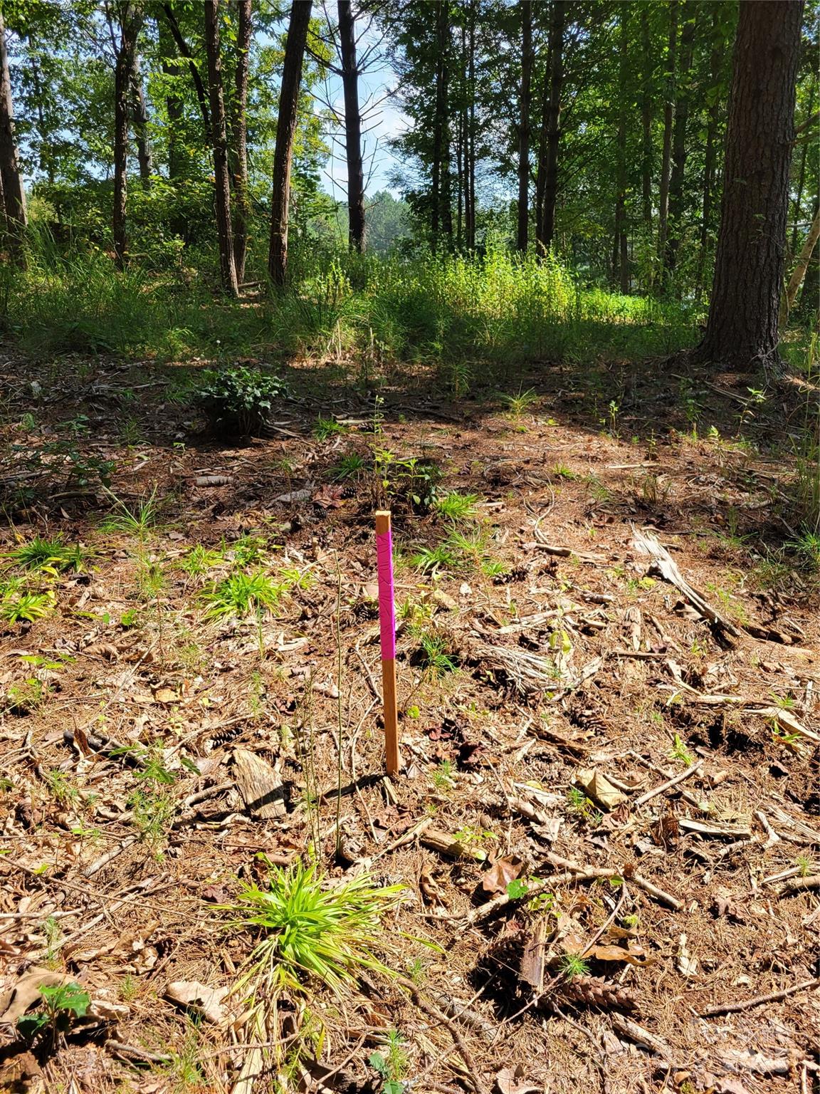 Tba Scenic Lane Granite Falls NC 28630