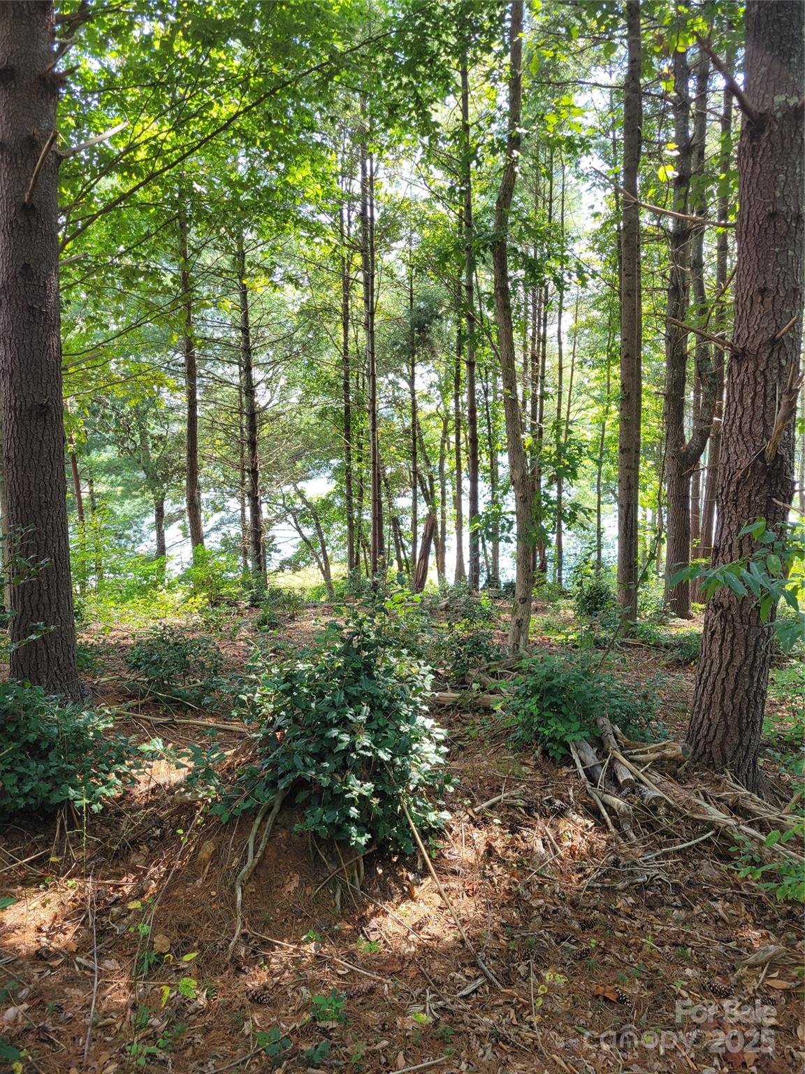 Tba Scenic Lane Granite Falls NC 28630