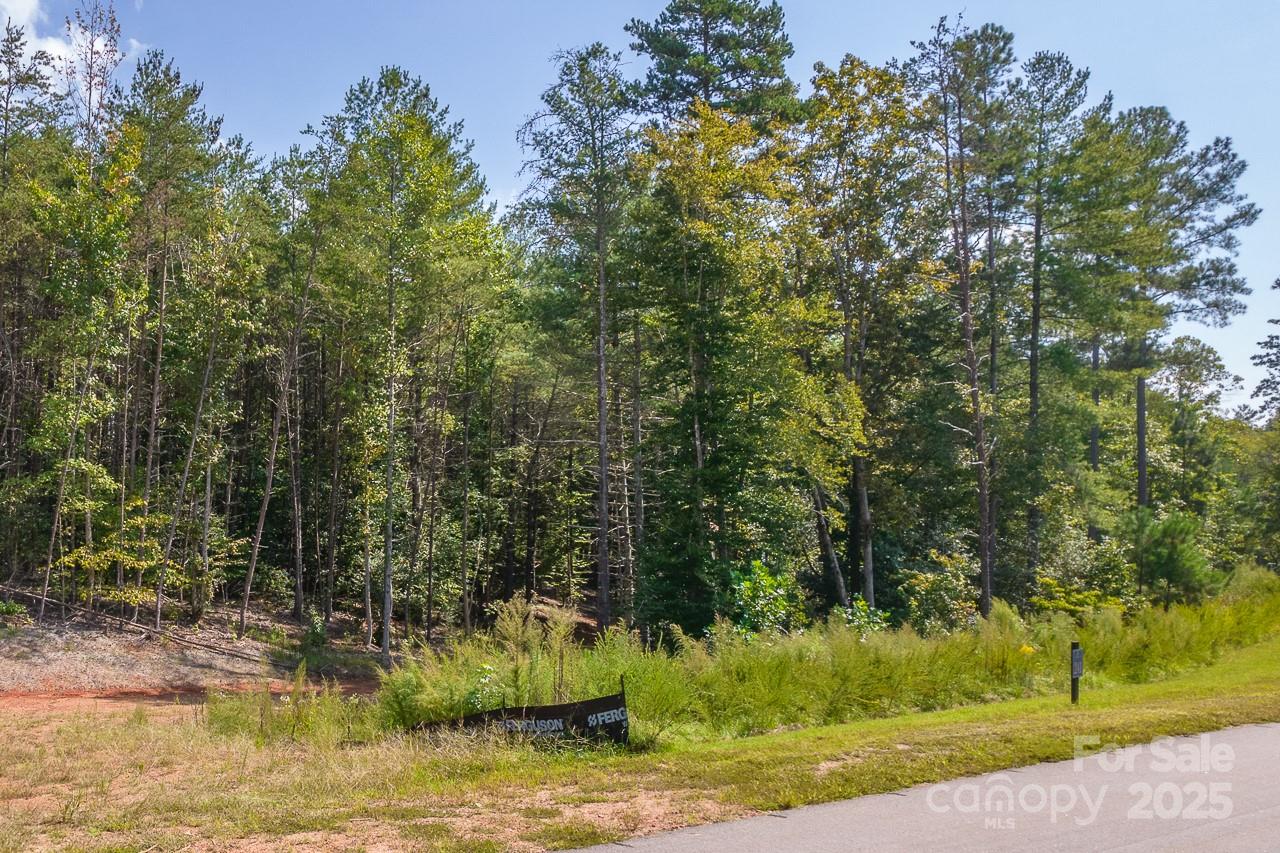 Tba Scenic Lane Granite Falls NC 28630