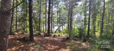 Tba Scenic Lane Granite Falls NC 28630