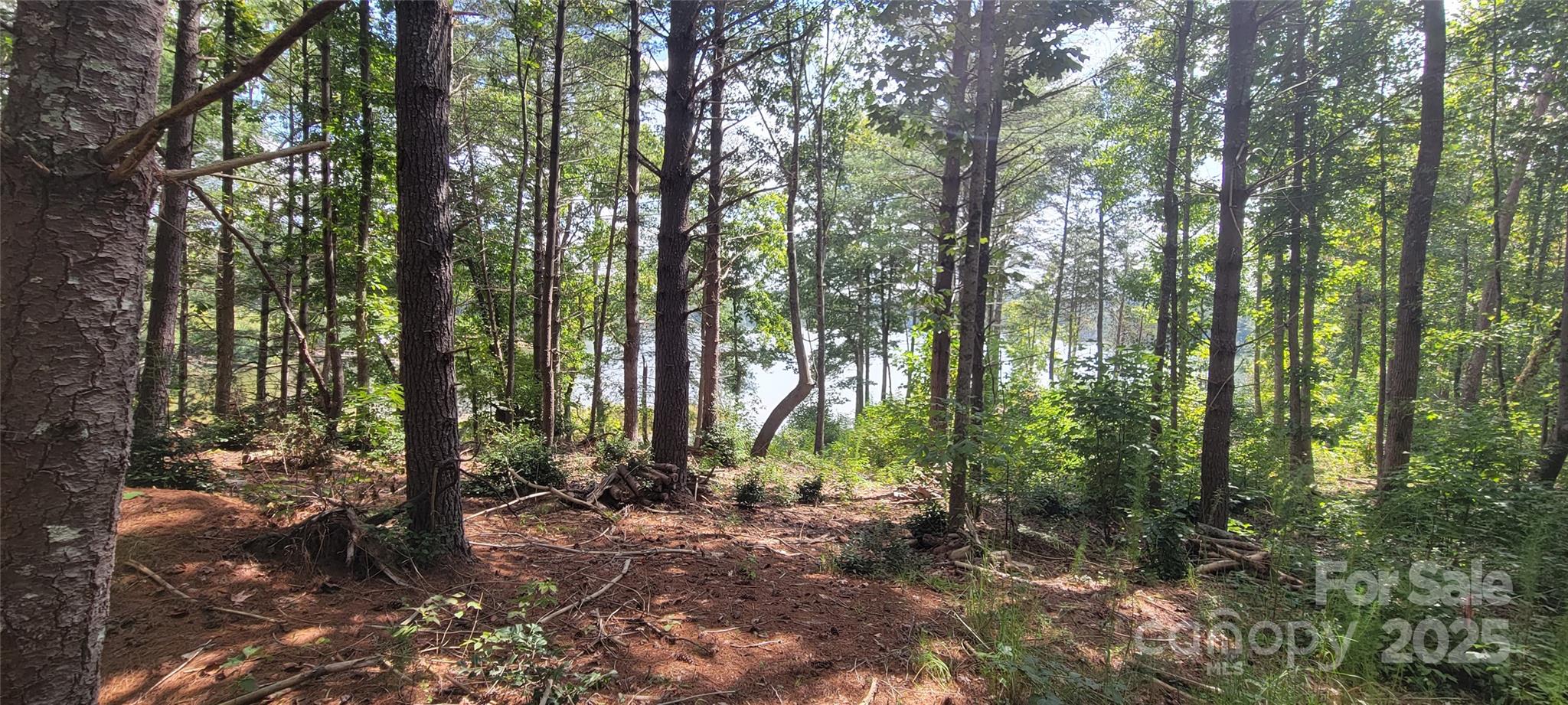 Tba Scenic Lane Granite Falls NC 28630